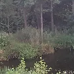 Klub Karino 2 Mikołajki